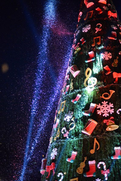 Christmas By The Lake Opening